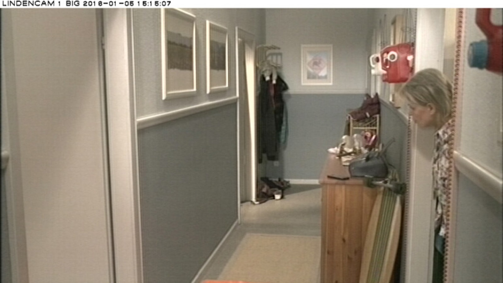 Webcambilder Wochenschau Januar 2016 KW1