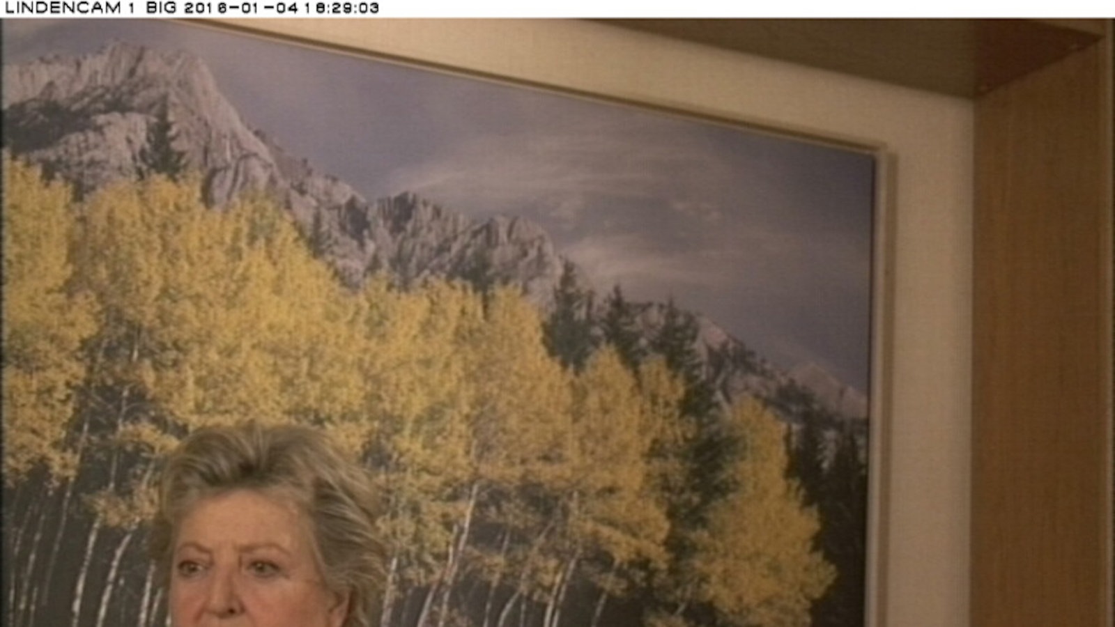 Webcambilder Wochenschau Januar 2016 KW1