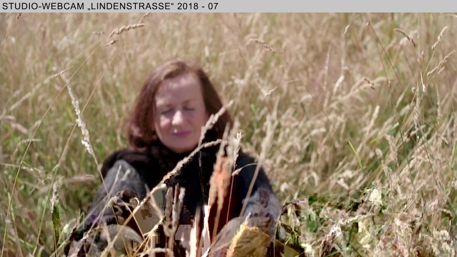 Wochenschau Nr.17|2018