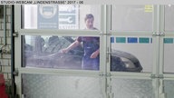 Wochenschau Nr. 18|2017