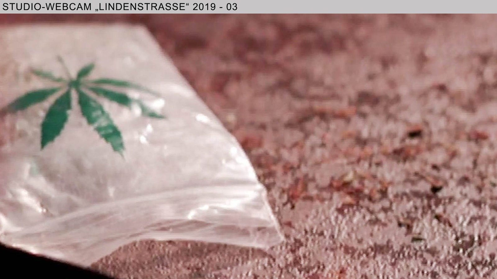 Wochenschau Nr.5|2019