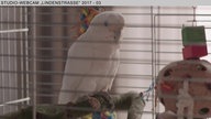Wochenschau Nr. 07|2017
