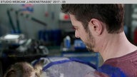 Wochenschau Nr. 14|2017