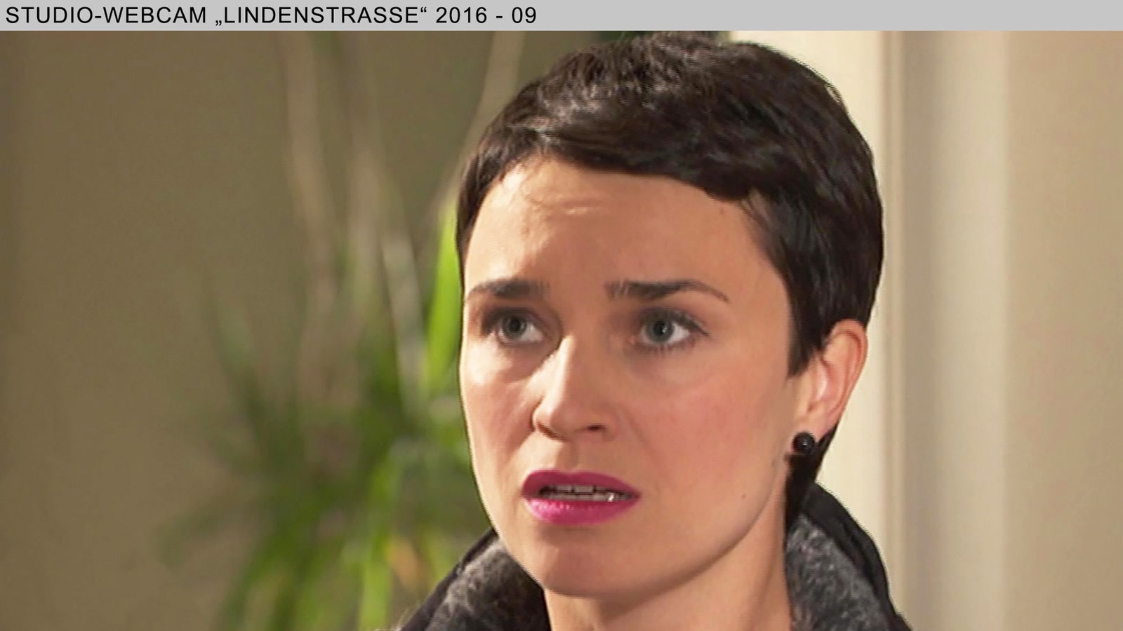 Wochenschau 29/2016