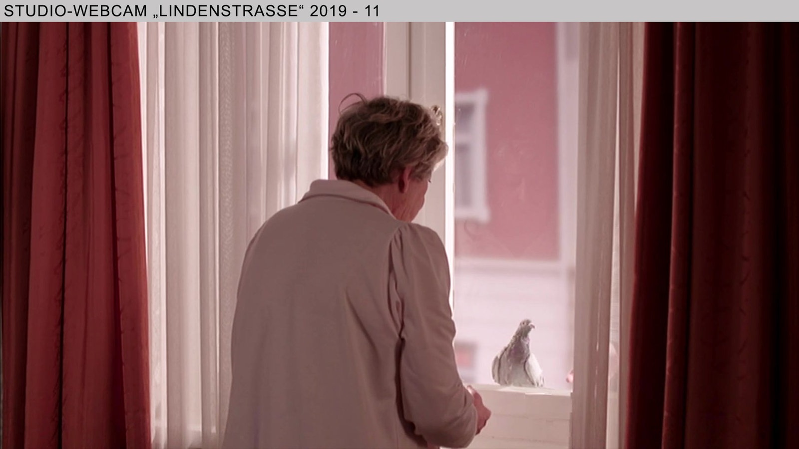 Wochenschau Nr. 36|2019
