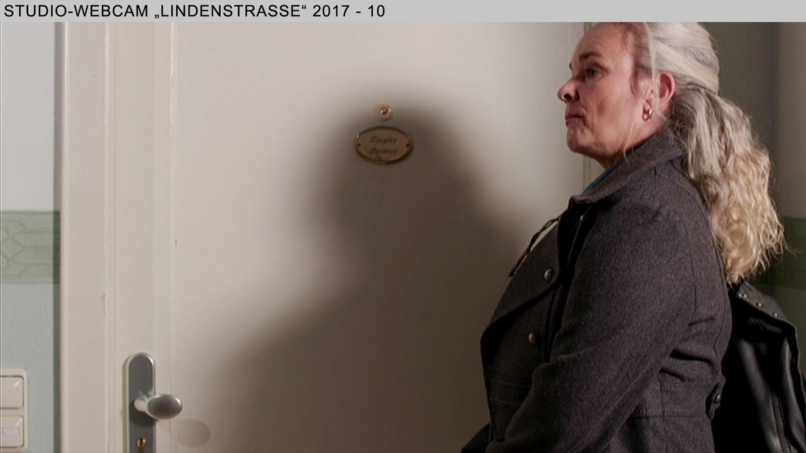 Wochenschau Nr. 31|2017