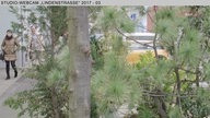 Wochenschau Nr. 4|2017