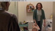 Wochenschau 34/2016
