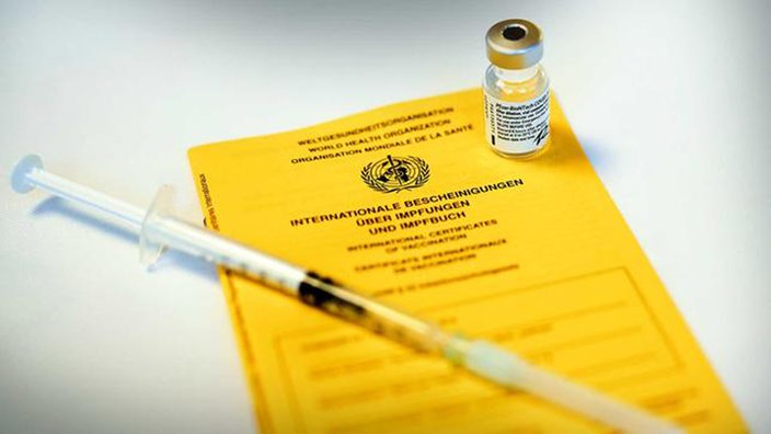 Impfausweis, Impfmittel und Spritze