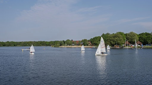 Auf dem Dreiländersee in Gronau schwimmen mehrere Segelboote