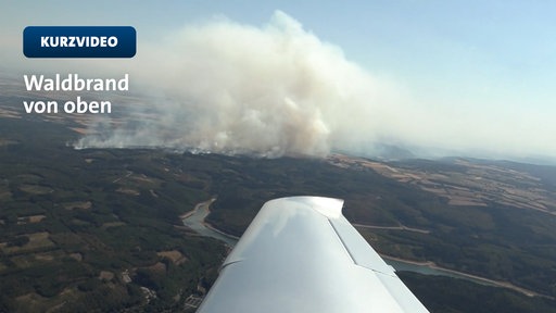 Waldbrand in Hürtgenwald aus der Luft | TN