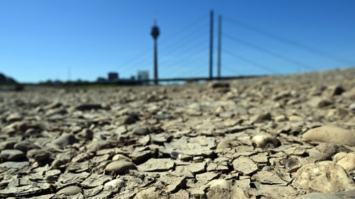 Risse haben sich bei niedrigem Wasserstand auf dem Rhein am trocken gefallenen Ufer gebildet