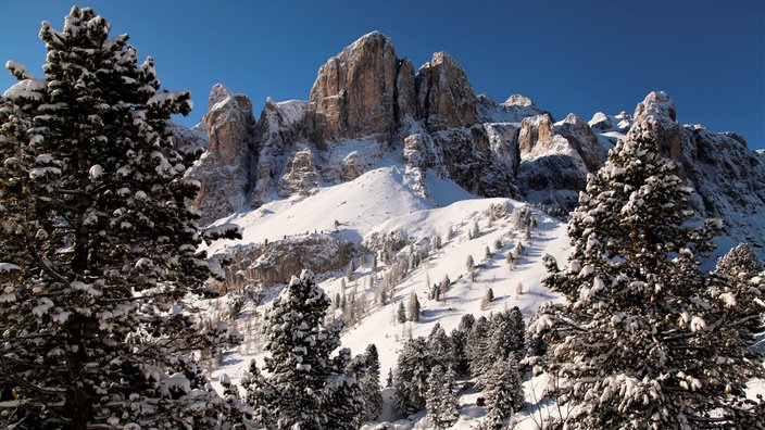 Gebirgslandschaft der Alpen mit verschneiten Bäumen und markanten Felsgipfeln unter klarem Himmel.