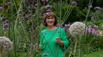 Brigitte Bergschneider