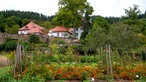 Eva Schüles Garten.