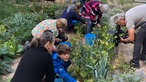 Erwachsene und Kinder werden beim Gärtnern gefilmt