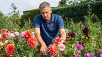  Klaus Wagenhuber