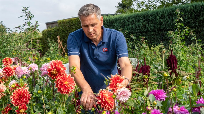  Klaus Wagenhuber