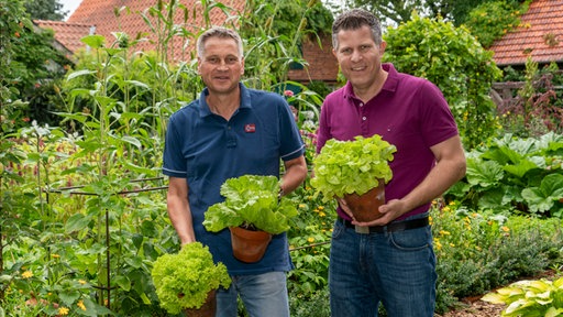 Klaus Wagenhuber und Jan Leßmeier mit frisch geerntetem Salat.