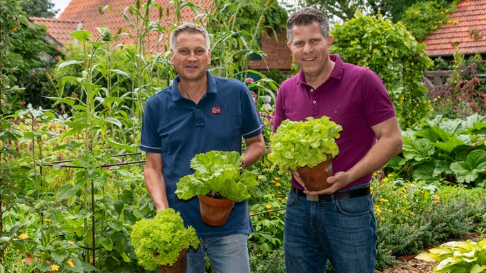  Klaus Wagenhuber und Jan Leßmeier mit frisch geerntetem Salat.