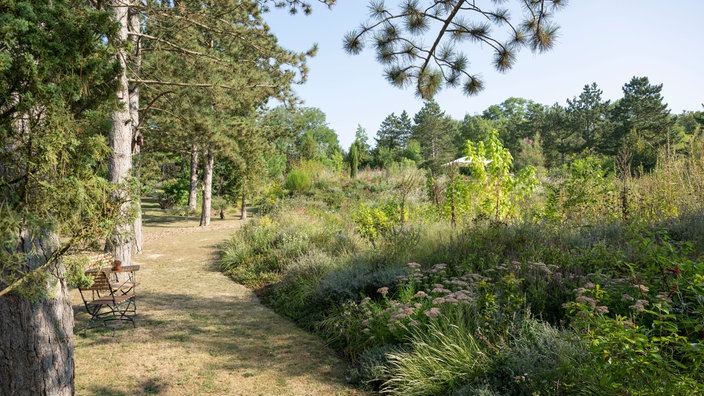 Blick auf den Garten von Markus Gaißl