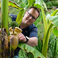 Thomas Seggewiß mit einer Bananenpflanze. 
