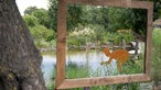 Blick auf den Teich im Garten von Uli Schauerte.