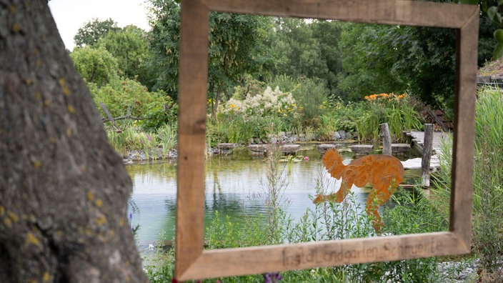 Blick auf den Teich im Garten von Uli Schauerte.