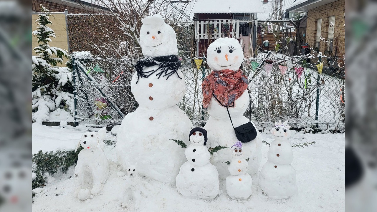 Eine Schneemannfamilie inklusive Hunde und Katzen.