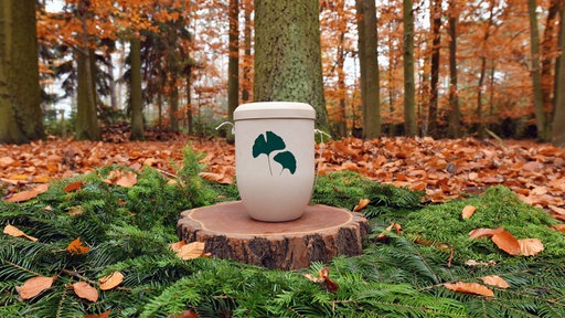Eine Urne steht auf einem Nadelgesteck im herbstlichen Wald