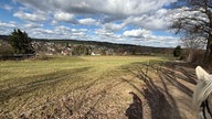 Frühlingssonne – Ihre schönsten Fotos!