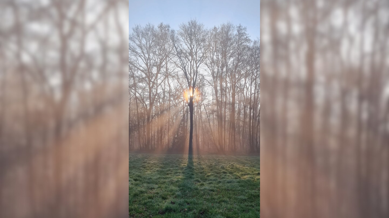 Frühlingssonne – Ihre schönsten Fotos!