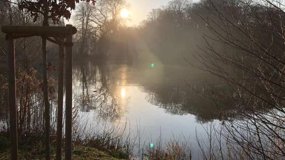 Frühlingssonne – Ihre schönsten Fotos!