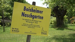 Schild: Boisheim