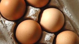 Bioeier im Eierkarton