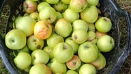 Ihre schönsten Erntefotos