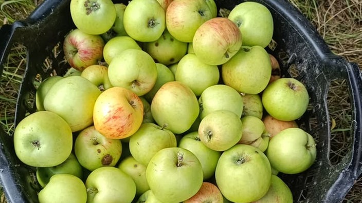Ihre schönsten Erntefotos