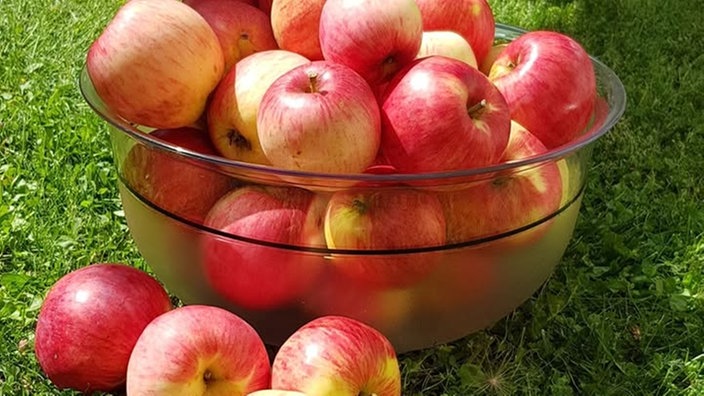 Ihre schönsten Erntefotos