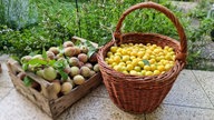 Ihre schönsten Erntefotos