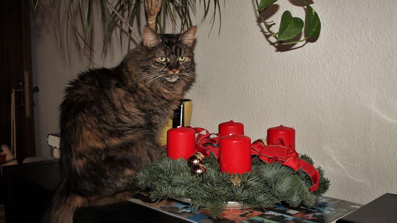Ihr schönstes Foto vom Adventskranz