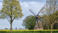 Ihr schönstes Foto vom Frühlingsausflug
