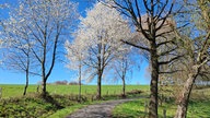 Ihr schönstes Foto vom Frühlingsausflug