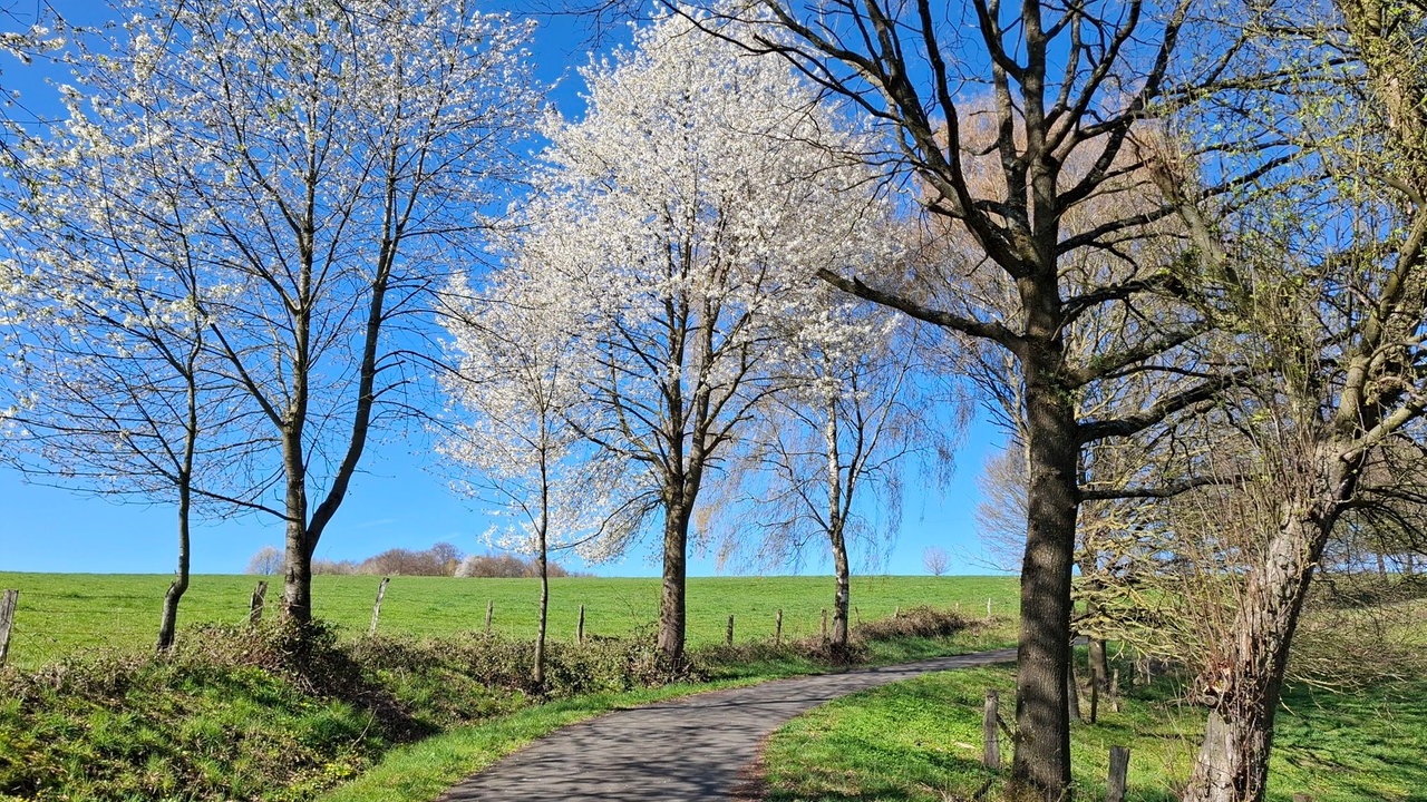 Ihr schönstes Foto vom Frühlingsausflug