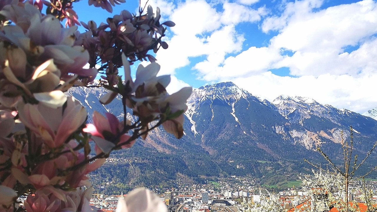 Ihr schönstes Foto vom Frühlingsausflug