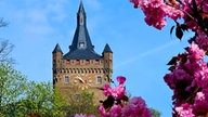Ihr schönstes Foto vom Frühlingsausflug