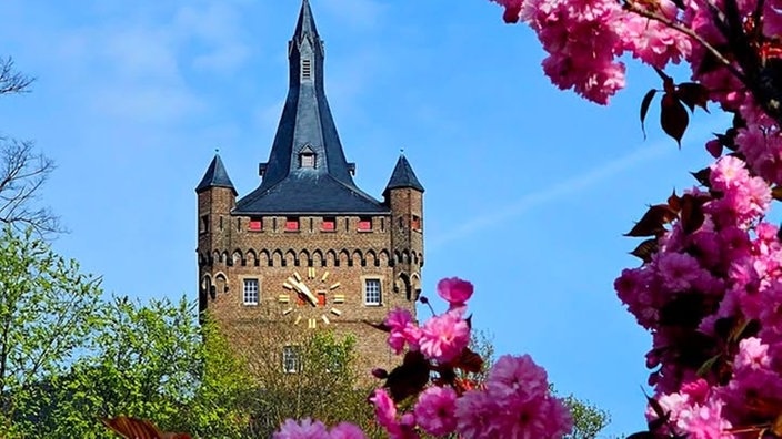 Ihr schönstes Foto vom Frühlingsausflug