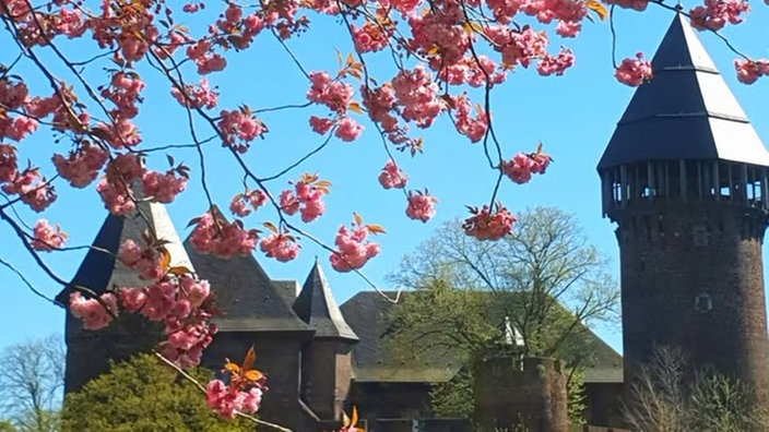 Ihr schönstes Foto vom Frühlingsausflug