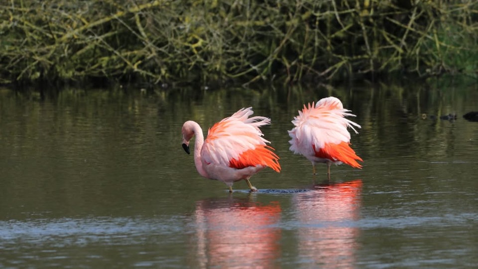 Ihr schönstes Foto vom Frühlingsausflug