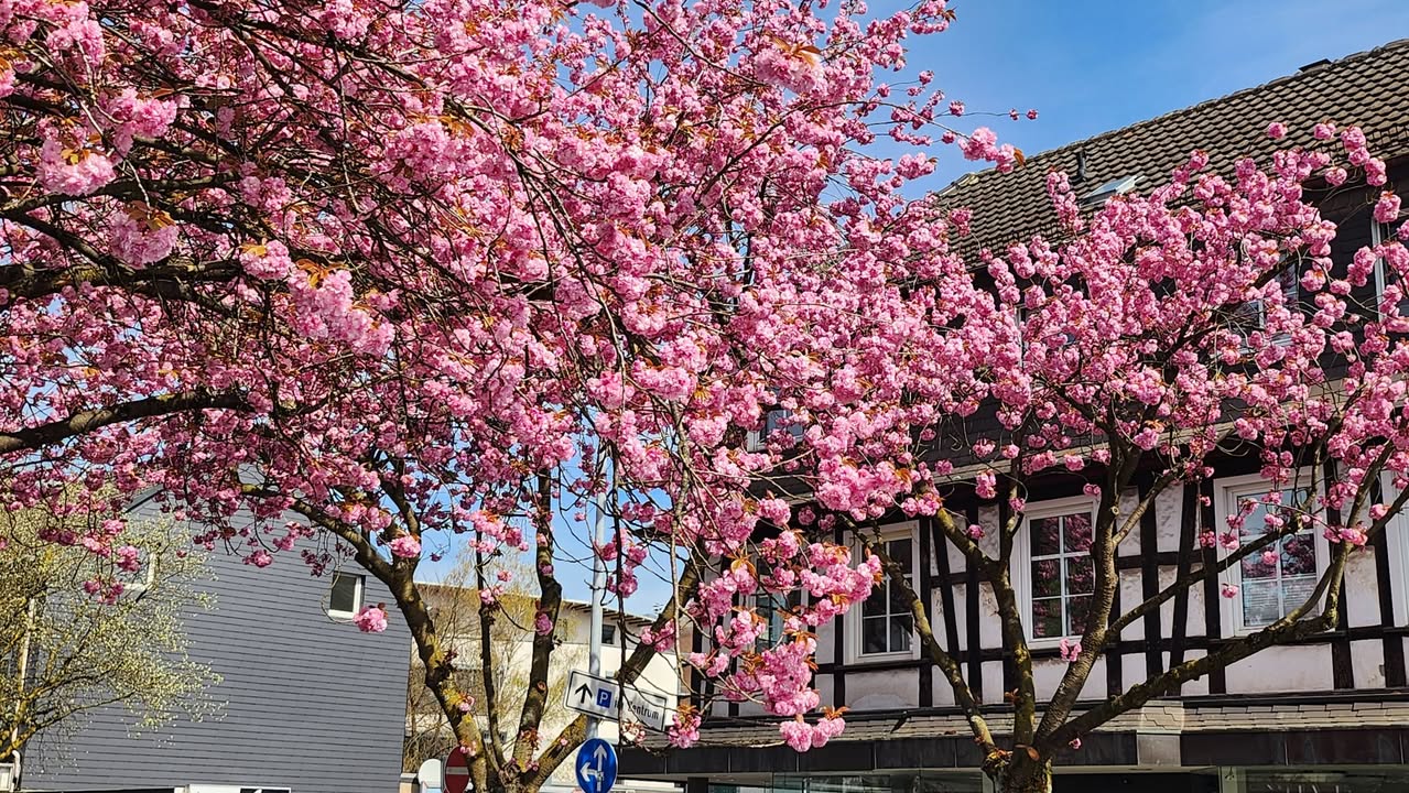 Ihr schönstes Foto vom Frühlingsausflug