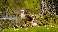 Ihr schönstes Foto vom Frühlingsausflug